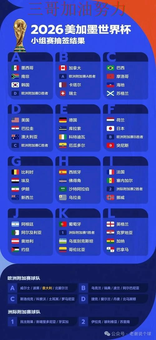 世界杯投注平台哪个好靠谱吗？深度解析结果来了（World Cup 2026）